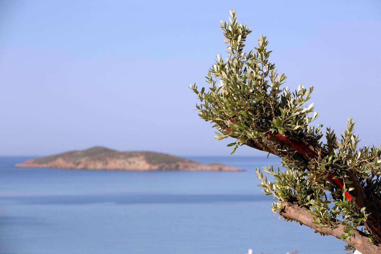 Elia Privileged Suites Andros Ανδροσ Luaran gambar